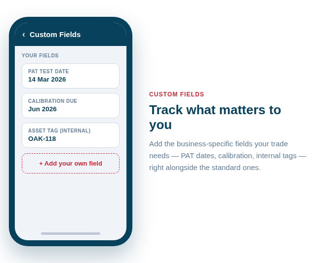 Custom fields tracking what your business cares about — like a PAT test date — alongside the standard details